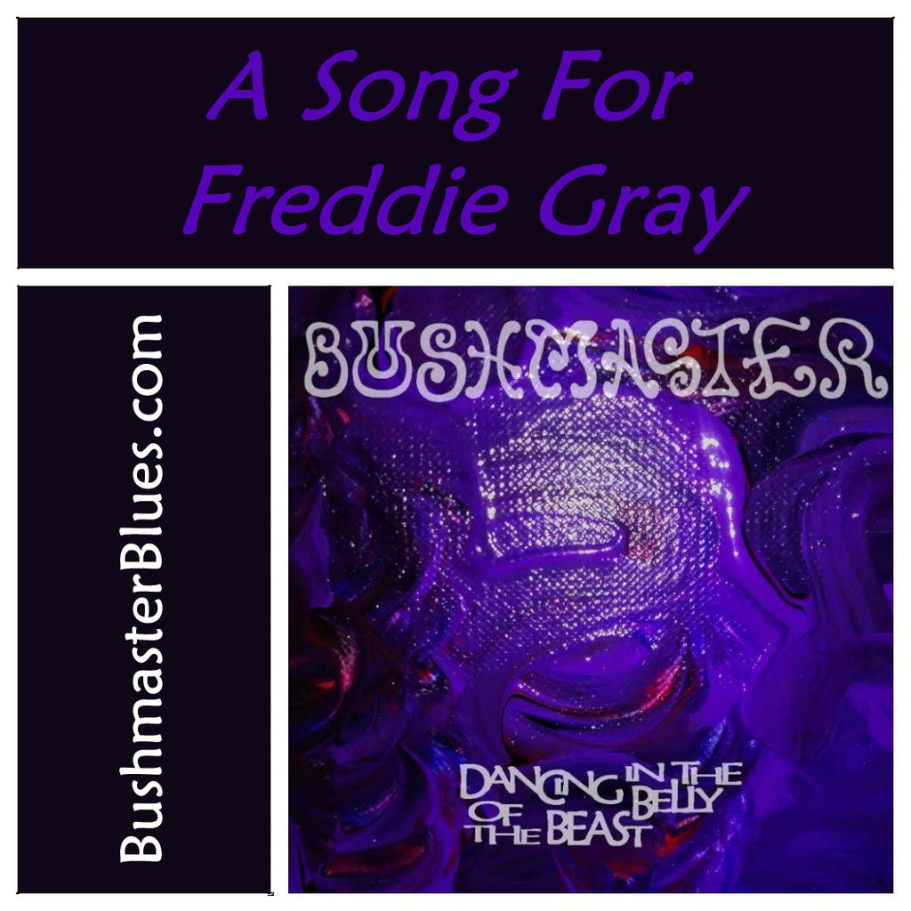 DBB03 A Song For Freddie Gray - song download