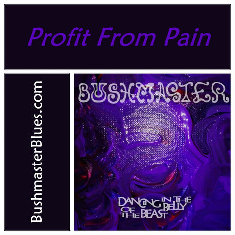 DBB13 Profit From Pain - song download