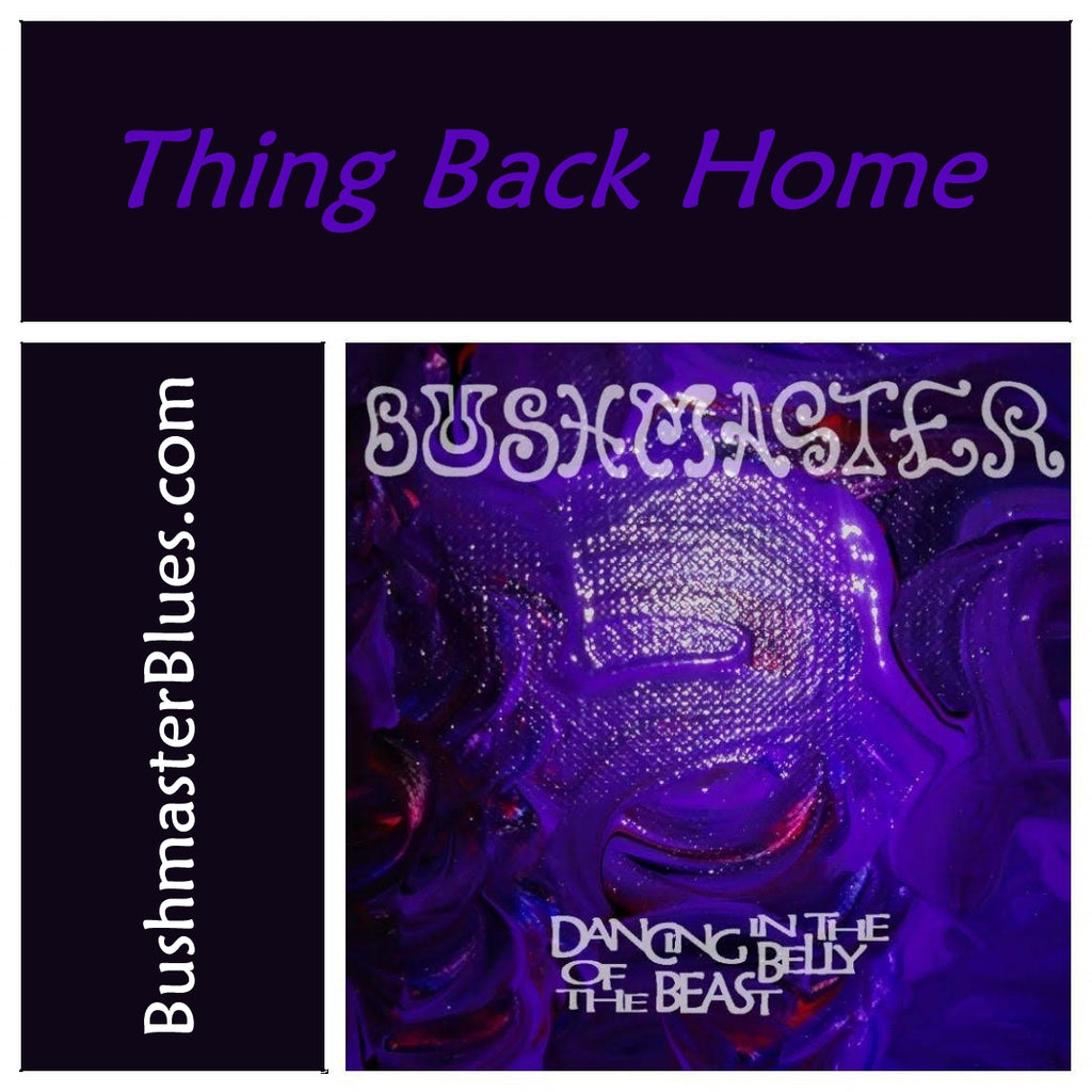 DBB14 Thing Back Home - song download